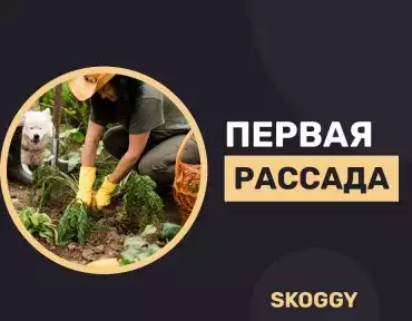 Рассада в марте и апреле